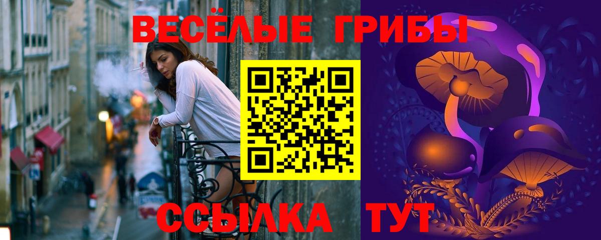 Североморск  Псилоцибиновые грибы GOLDEN TEACHER  Вход с VPN  Псилоцибиновые грибы ЛСД 